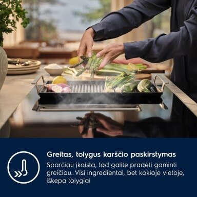 Electrolux E9HHPG11 Electrolux E9HHPG11